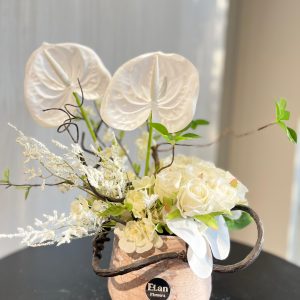 فازة الانثوريم الابيض