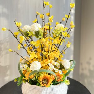 فازة شمس الحياة