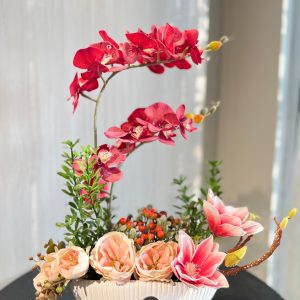 الفازه المبهجه