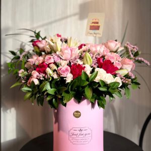 بوكس الصداقه