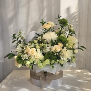 بوكس أنيق ومميز