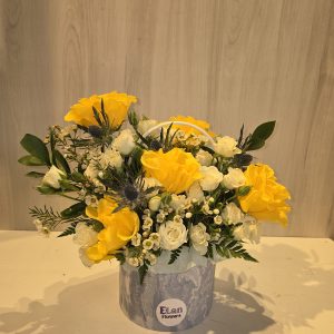 بوكس الجورى الاصفر