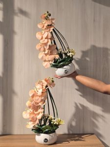 فازة الأوركيد الساحرة