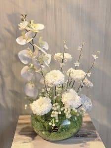 فازة الاوركيد الأبيض